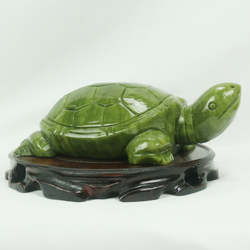 Jade Natural/escultura de tort - Marine Aquarium All In One reseña y precio