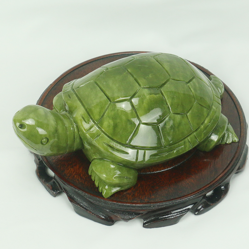 Jade Natural/escultura de tort - Marine Aquarium All In One reseña y precio