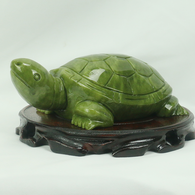 Jade Natural/escultura de tort - Marine Aquarium All In One reseña y precio