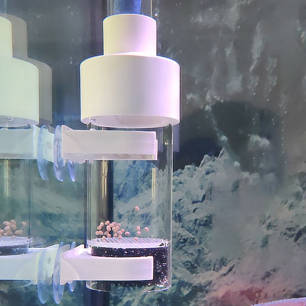 Incubadora de vaso de 40mm, in - Marine Aquarium Kit reseña y precio
