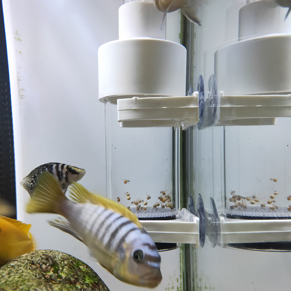 Incubadora de Huevos de Peces  - Marine Aquarium Kit reseña y precio