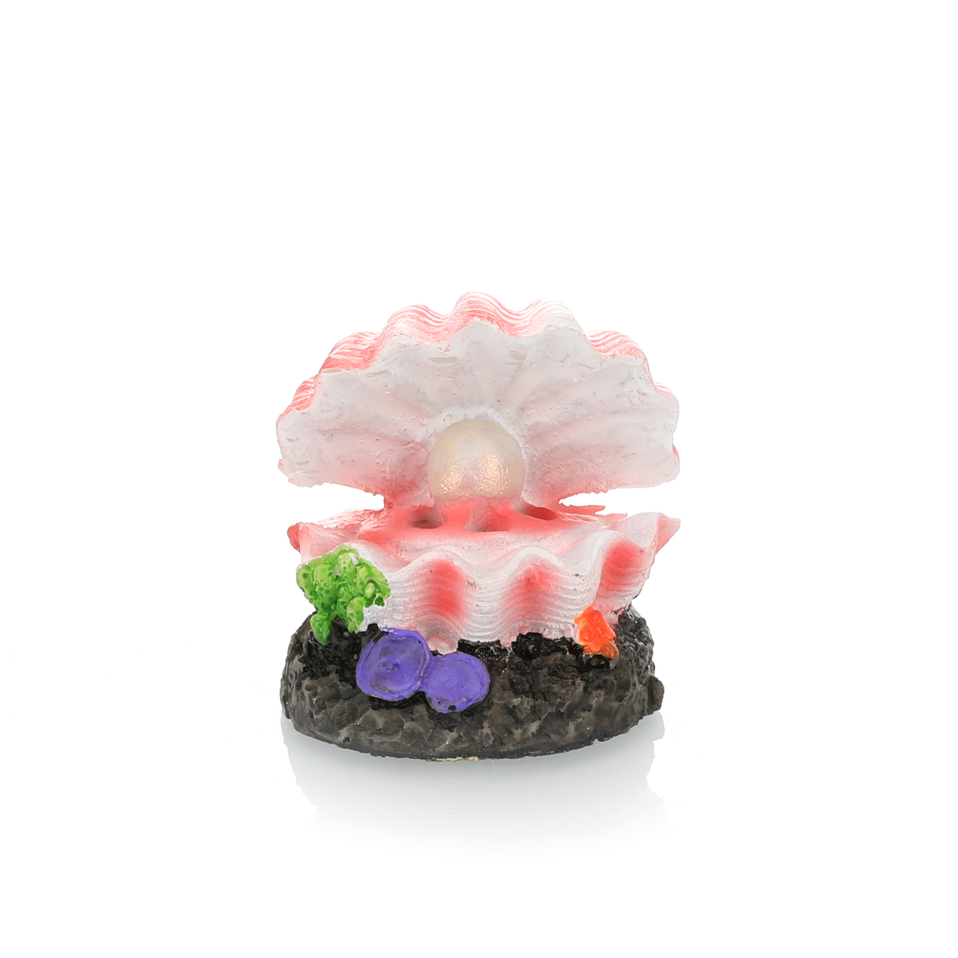 Simulación de paisajismo para  - Marine Aquarium All In One reseña y precio
