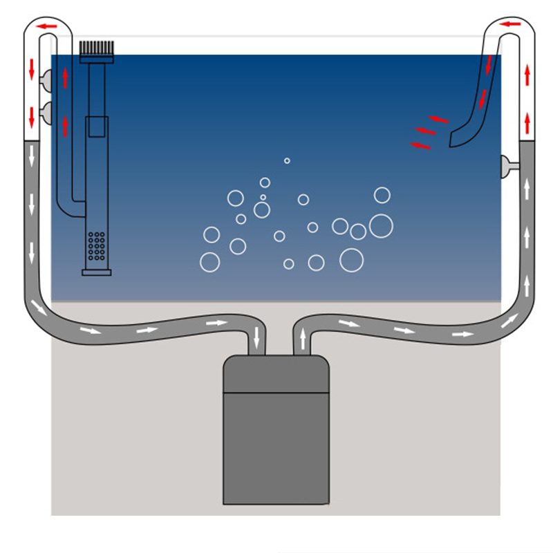 Tubería de lirio para tanque d - Aquarium Marine Filter reseña y precio