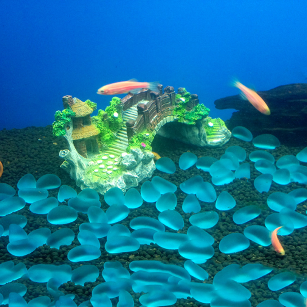 Accesorios para acuario, árbol - Marine Aquarium All In One reseña y precio