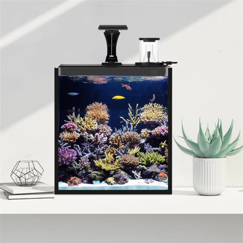 Acuario Curvo de Agua Salada p - Marine Aquarium All In One reseña y precio