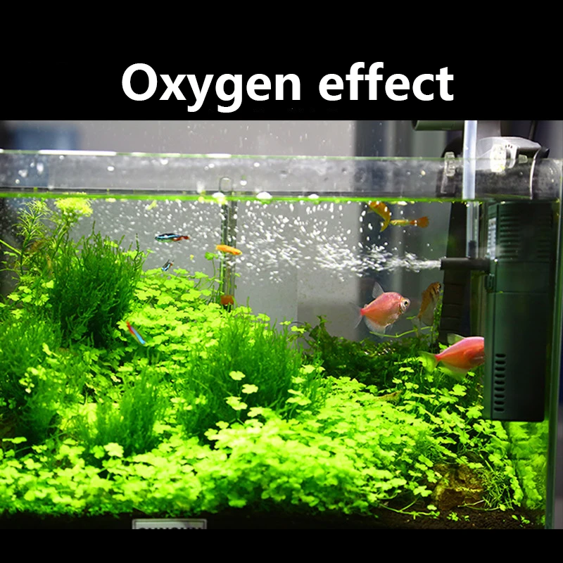 SUNSUN-bomba sumergible de oxí - Marine Aquarium Protein Skimmer reseña y precio